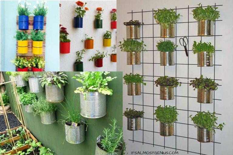 Jardim Suspenso com Latas