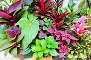 Transforme seu ambiente